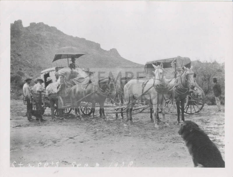 Large Carriage and Horses with Driver