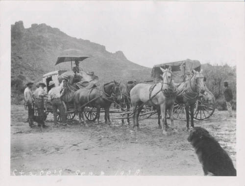 Large Carriage and Horses with Driver