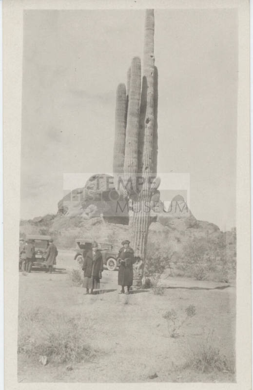 People and Cars by Saguaro at Papago Park