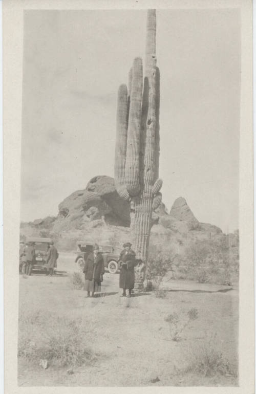 People and Cars by Saguaro at Papago Park