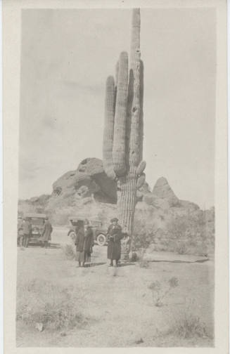 People and Cars by Saguaro at Papago Park
