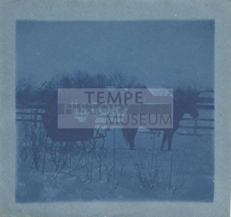 Horse and Sleigh in Winter Scene