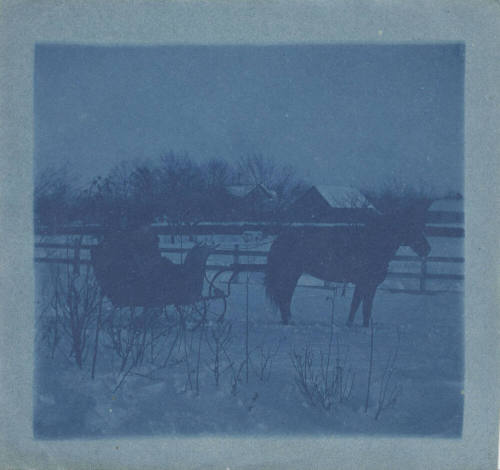 Horse and Sleigh in Winter Scene