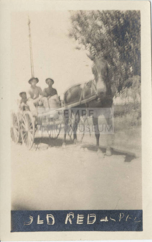 Horse and Buggy with Two Riders
