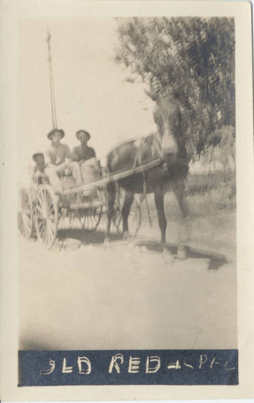 Horse and Buggy with Two Riders