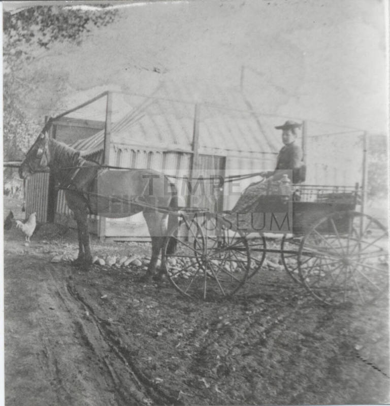 Horse and Buggy with Woman Near Tent