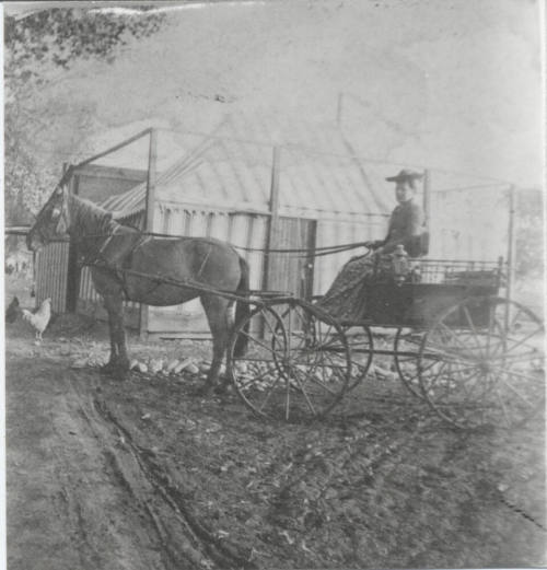 Horse and Buggy with Woman Near Tent