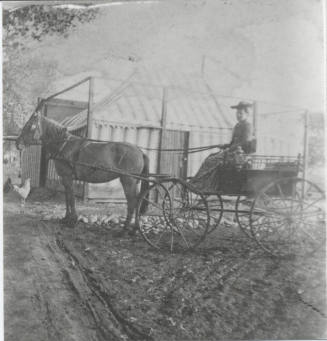 Horse and Buggy with Woman Near Tent
