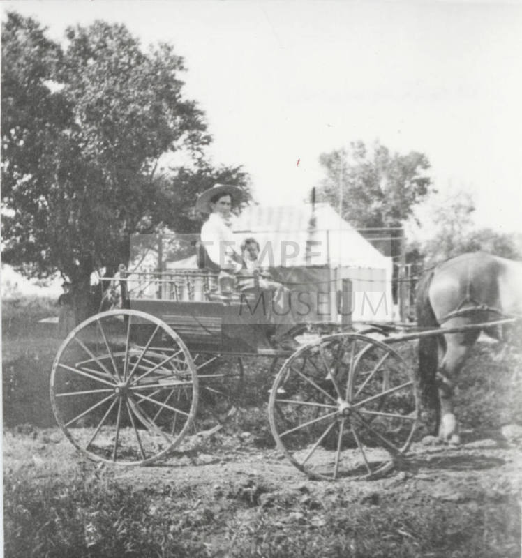 Horse and Buggy with Woman and Child
