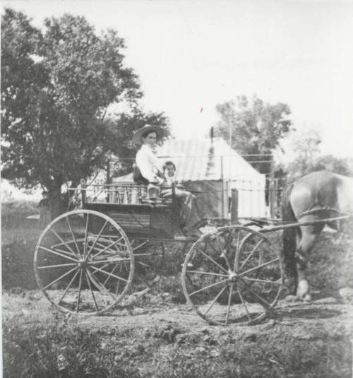 Horse and Buggy with Woman and Child