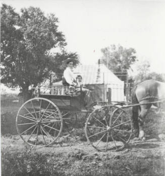 Horse and Buggy with Woman and Child