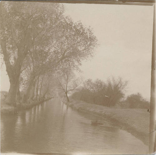 The Arizona Canal