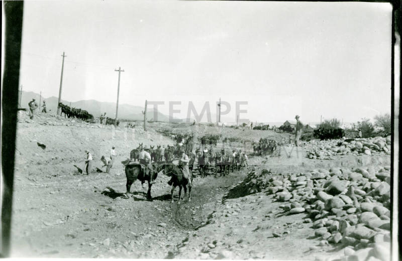 Canal Construction Workers with Mules