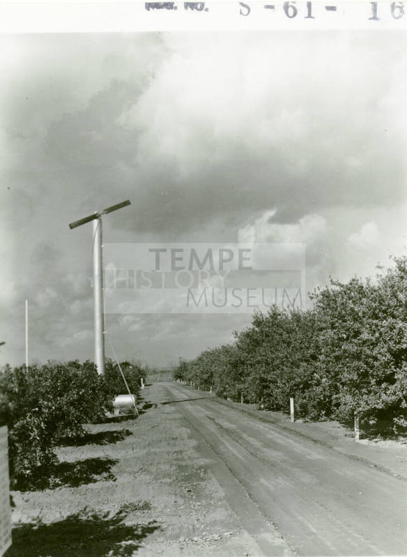 Ua Citrus Farm- Windmill and Road