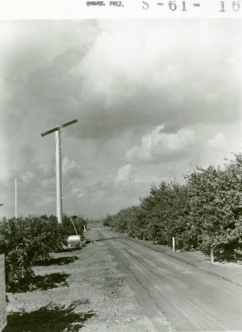 Ua Citrus Farm- Windmill and Road
