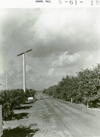 Ua Citrus Farm- Windmill and Road