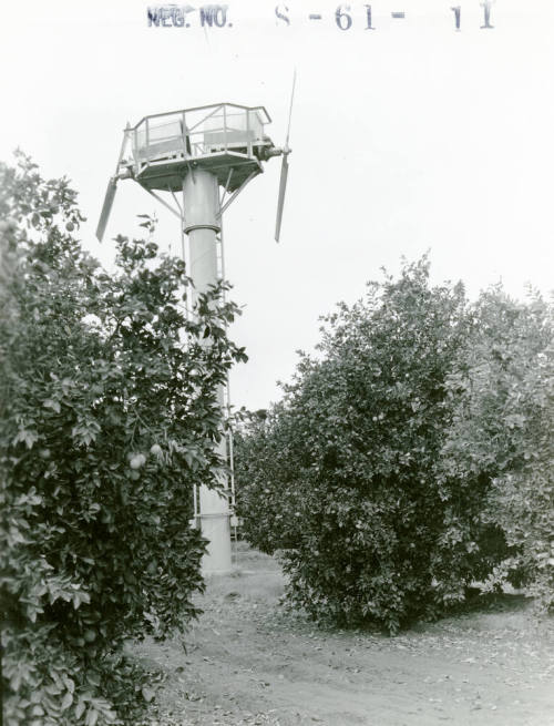 Ua Citrus Farm-Double Propeller Windmill
