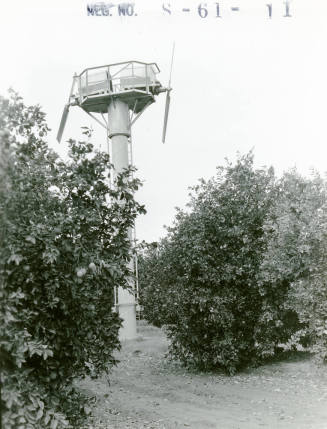 Ua Citrus Farm-Double Propeller Windmill