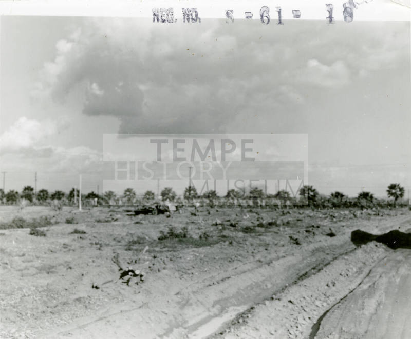 Plowed Field at University of Arizona Experimental Farm
