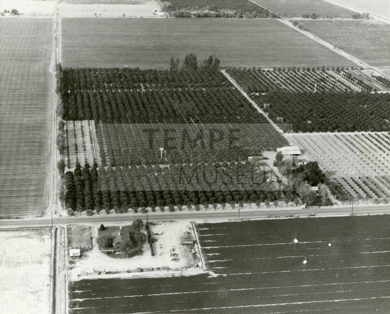 Aerial View of the Ua Citrus Farm