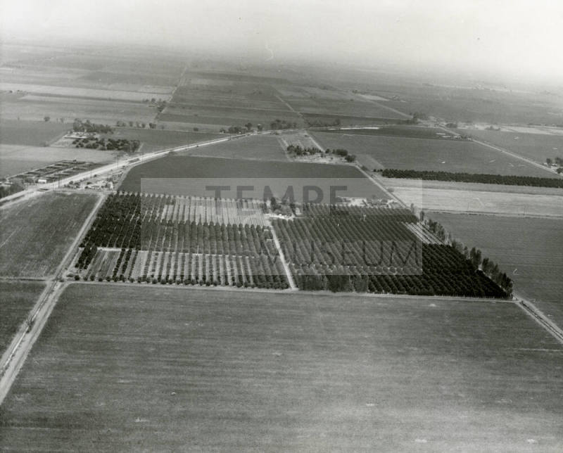 Aerial View of the Ua Citrus Farm