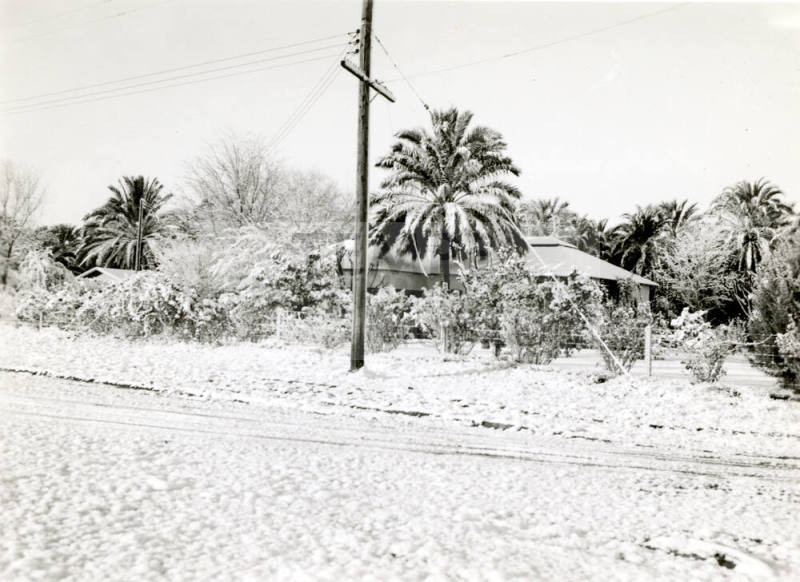 Ua Experimental Farm with Snow