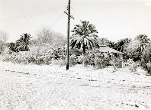 Ua Experimental Farm with Snow
