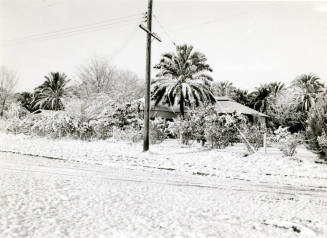 Ua Experimental Farm with Snow