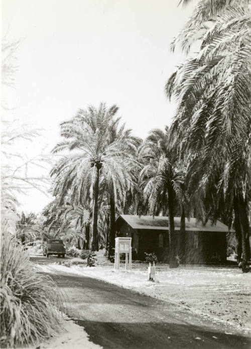 Ua Experimental Farm