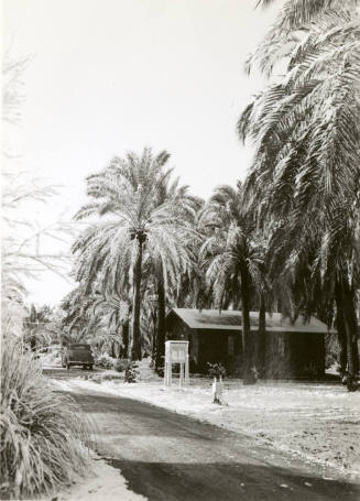Ua Experimental Farm