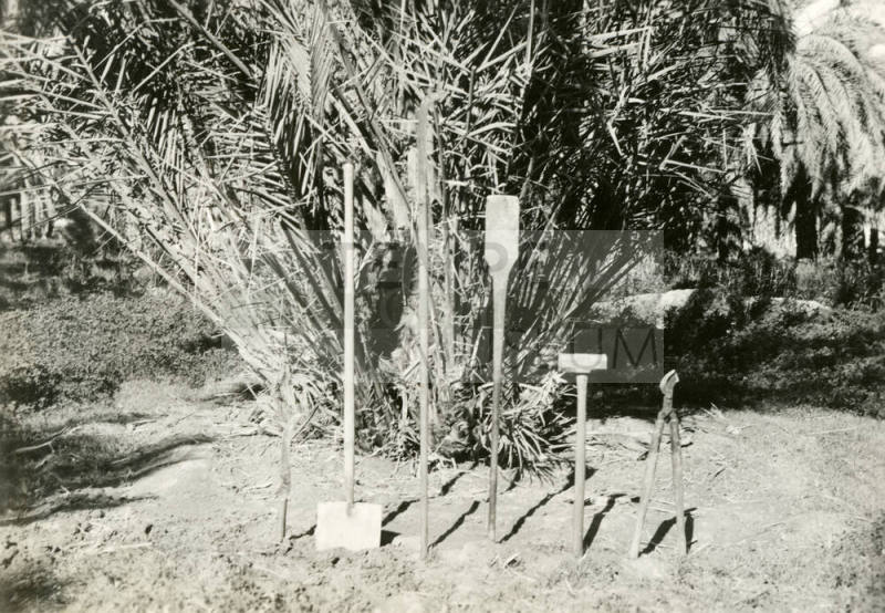 Date Farm- Various Date Farming Tools