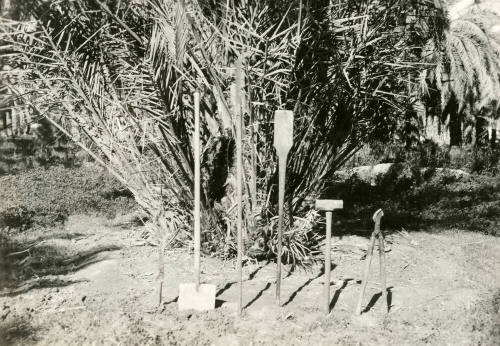 Date Farm- Various Date Farming Tools