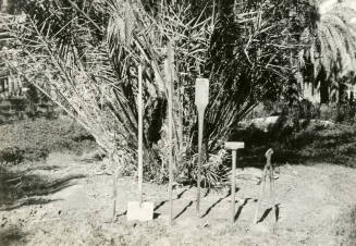 Date Farm- Various Date Farming Tools