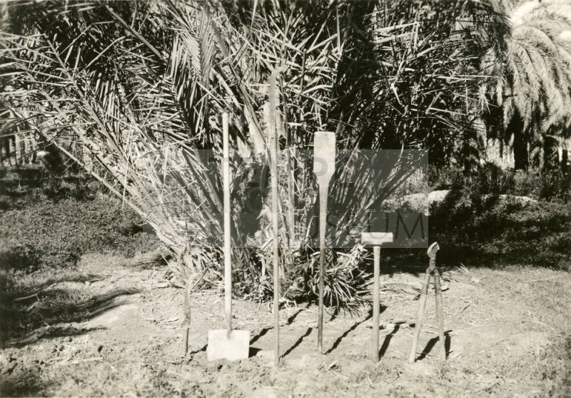 Date Farm- Various Date Farming Tools