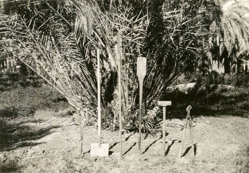 Date Farm- Various Date Farming Tools
