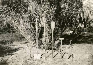 Date Farm- Various Date Farming Tools