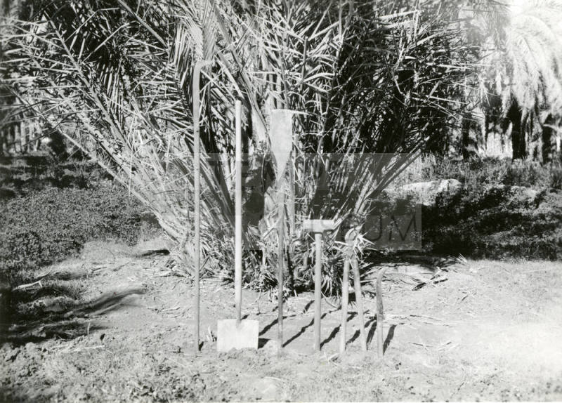 Date Farm- Various Date Farming Tools