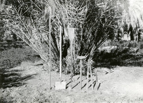 Date Farm- Various Date Farming Tools