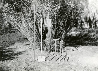 Date Farm- Various Date Farming Tools