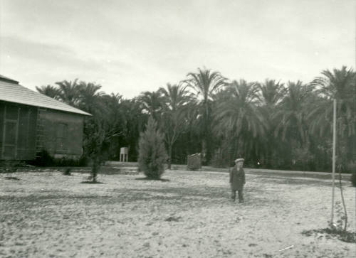Date Farm- Unidentified Boy