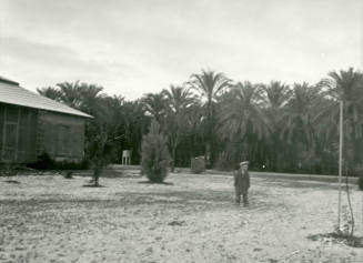 Date Farm- Unidentified Boy