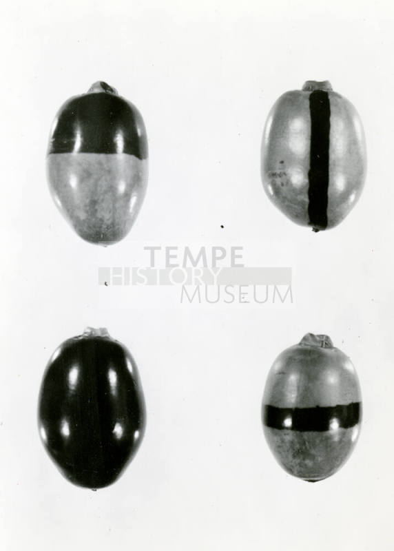 Date Farm- Close Up View of Four Dates
