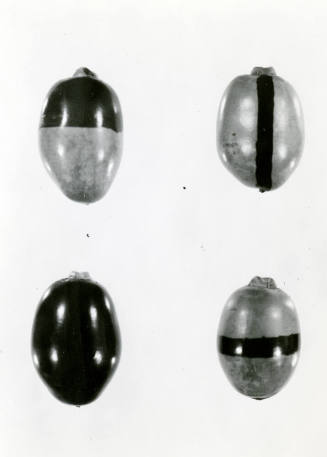 Date Farm- Close Up View of Four Dates