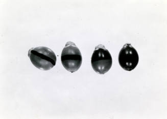 Date Farm- Close Up View of Four Dates