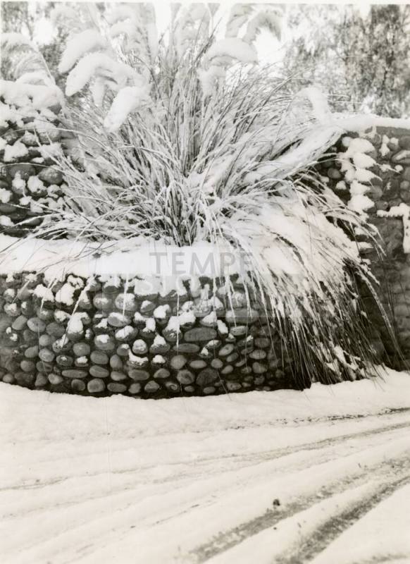 Fountain and Grass Covered with Snow