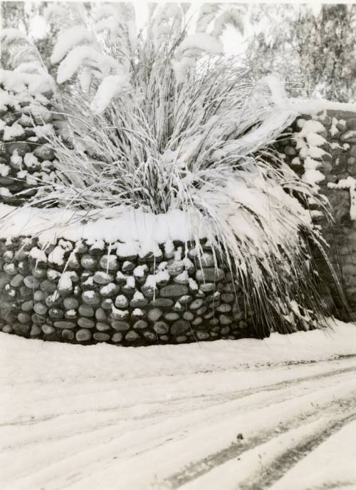 Fountain and Grass Covered with Snow