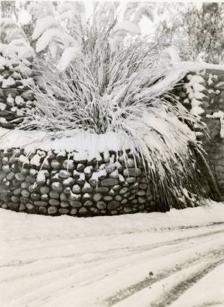 Fountain and Grass Covered with Snow