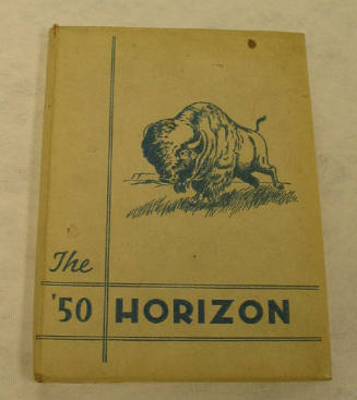 The Horizon