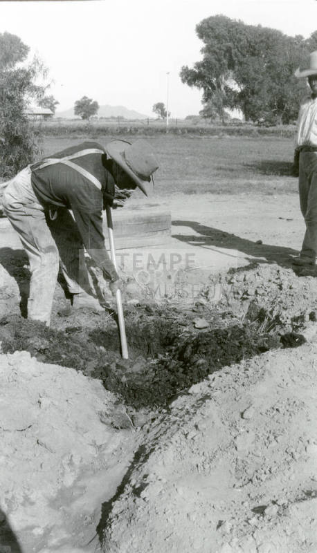 Man Digging a Hole for Date Palm Tree