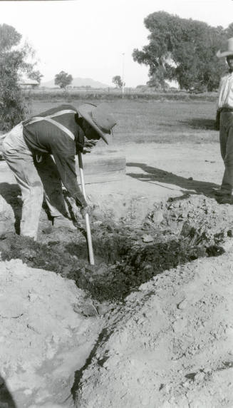 Man Digging a Hole for Date Palm Tree